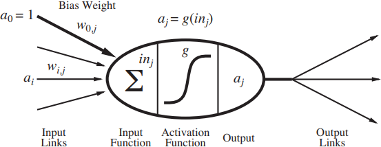 Neuron